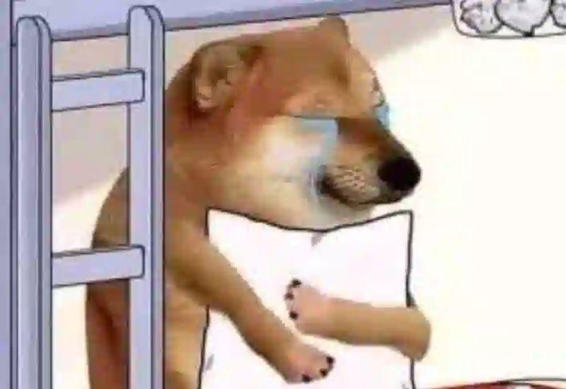 Meme đau lòng: độc đáo gửi gắm tâm sự, chia sẻ nỗi buồn của bạn