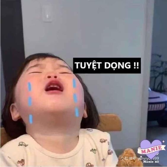Màn hình sinh động hơn với meme tuyệt vọng – nỗi lòng của những tâm hồn lạc lõng
