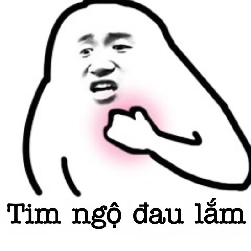 meme gấu tr&uacute;c đau tim