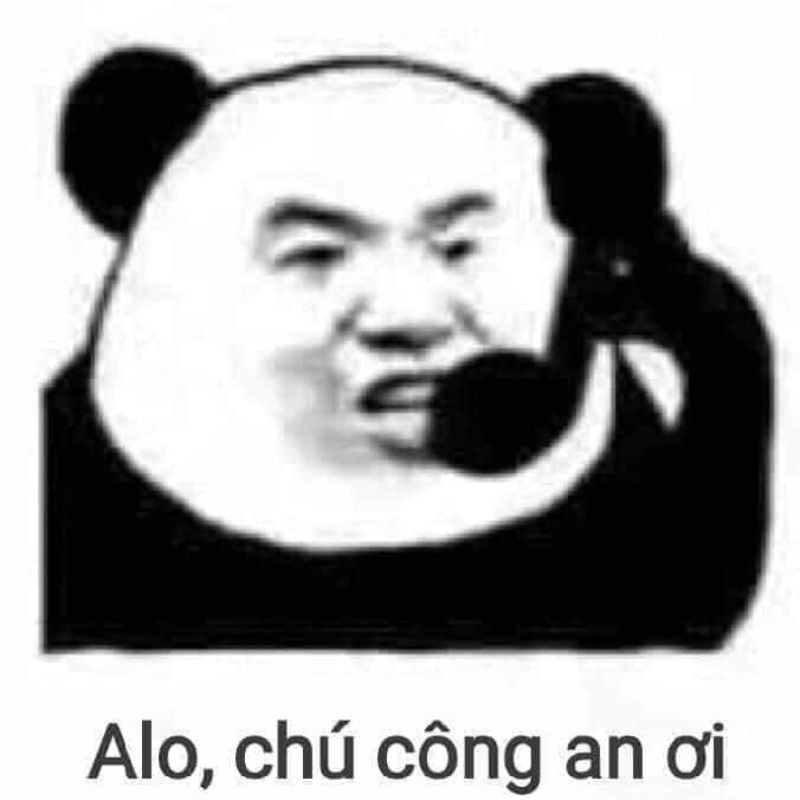 meme gấu trúc weibo