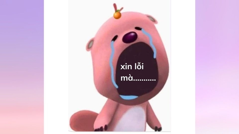 meme giảng h&ograve;a 0049