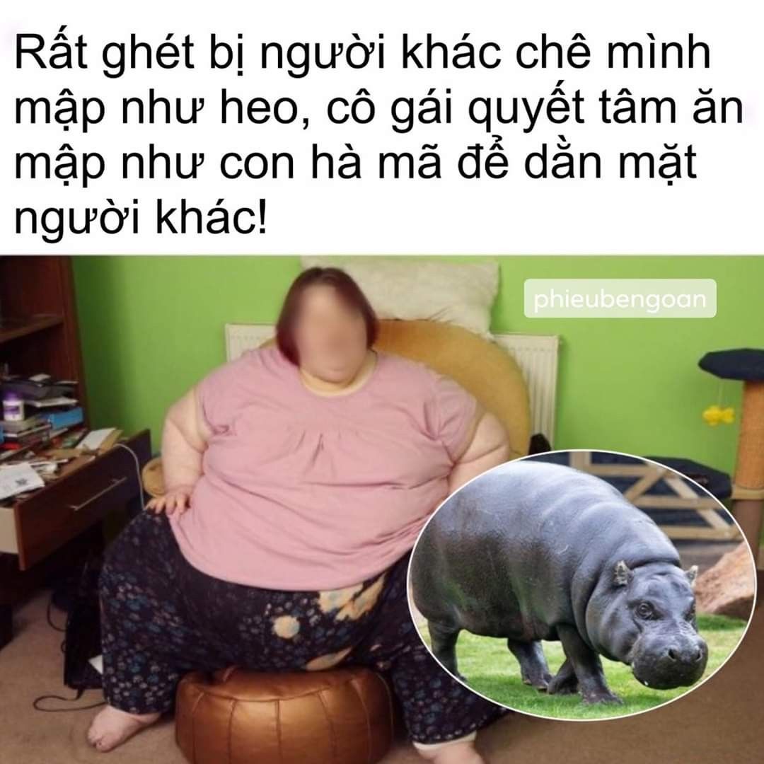 meme h&agrave; m&atilde; 0037