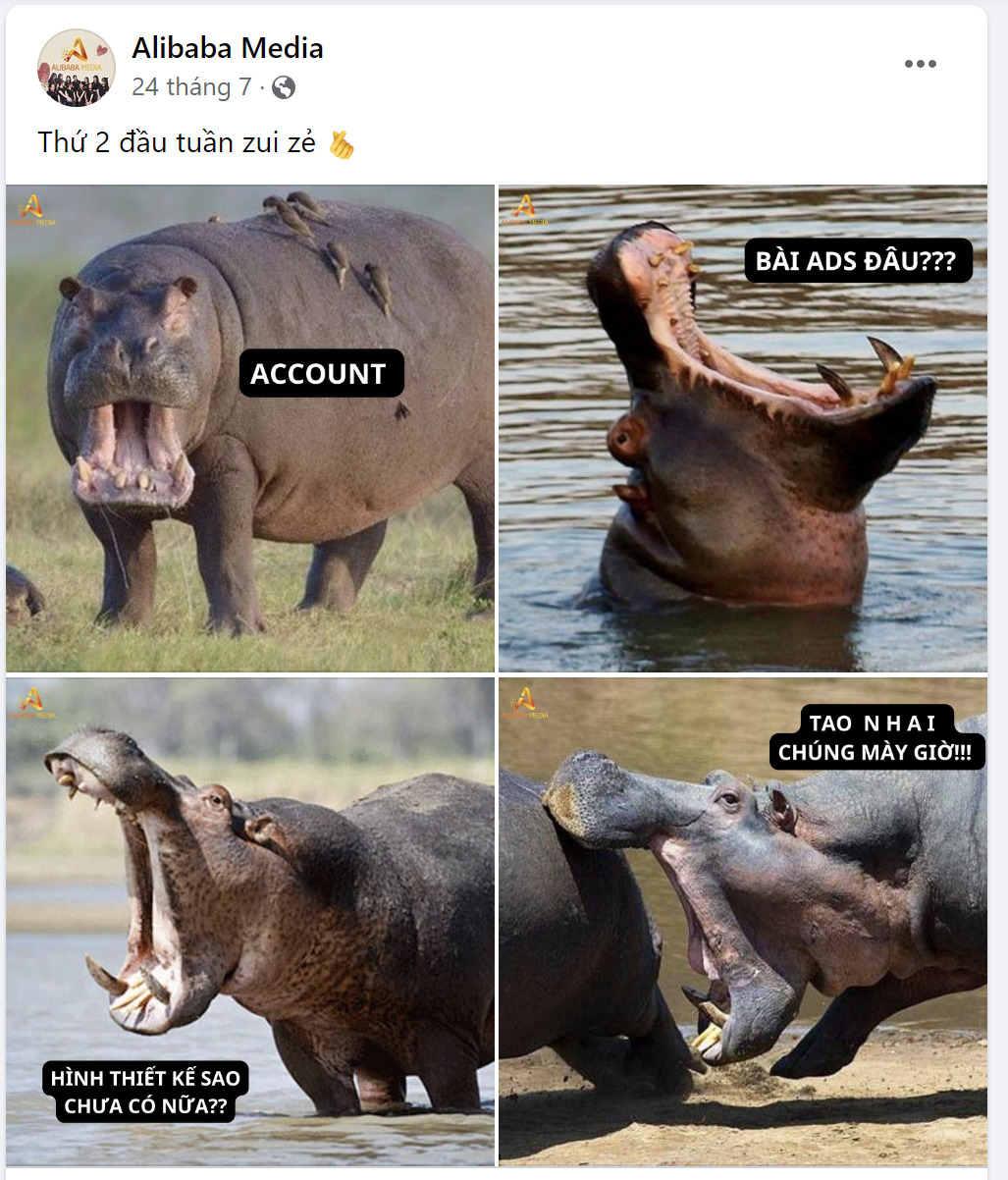 meme h&agrave; m&atilde; 0042