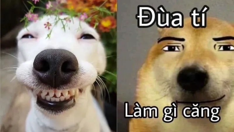 meme h&agrave;i trung quốc 0021