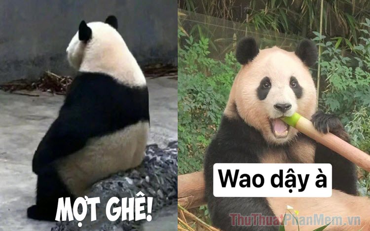 meme h&agrave;i trung quốc 0035