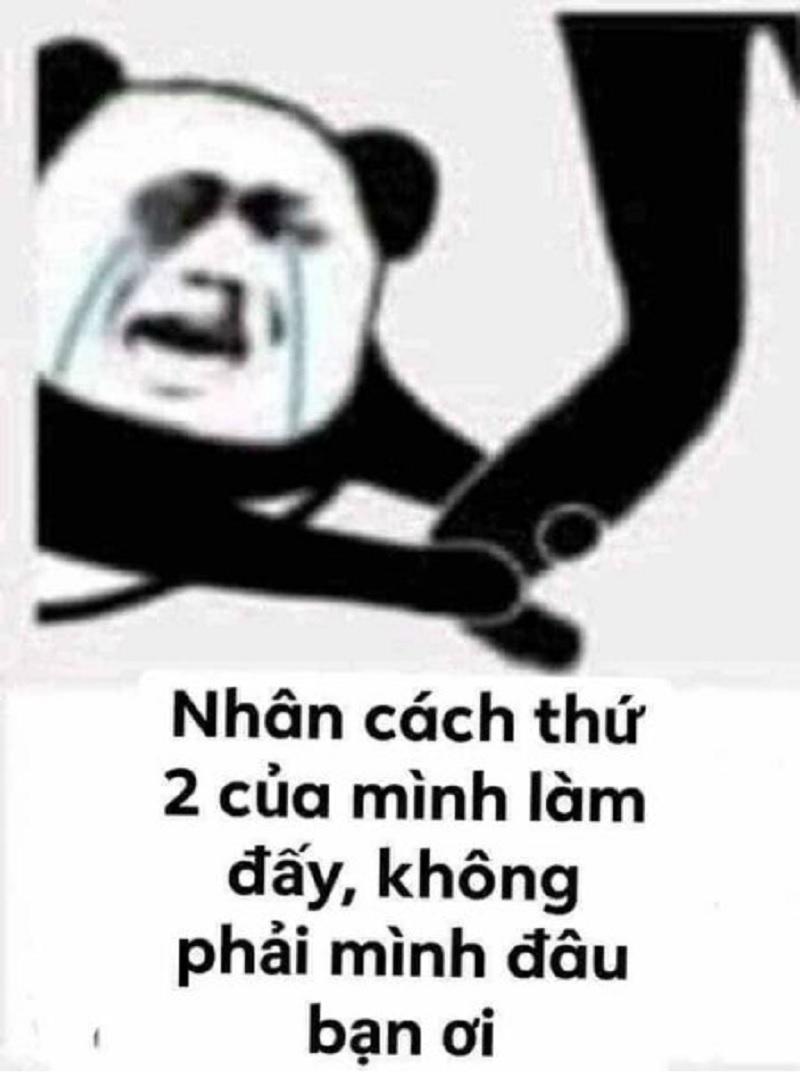 meme h&agrave;i trung quốc 0036