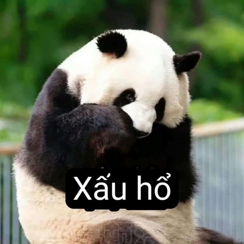 meme h&agrave;i trung quốc 0047