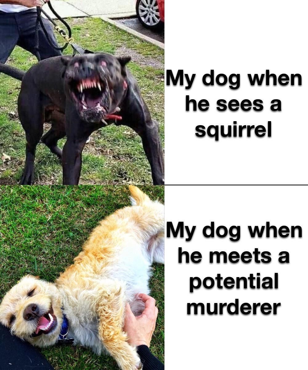 meme IQ h&agrave;i hước tr&ecirc;n mạng