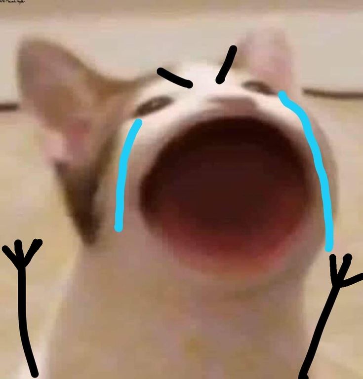 Meme khóc – trải nghiệm hiện đại cùng những cảm xúc chạm đến trái tim