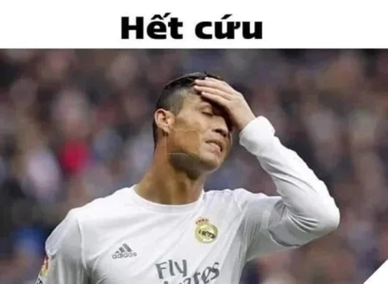 Thả mình vào meme bất lực – khi tiền trở thành nguồn cảm hứng bất tận
