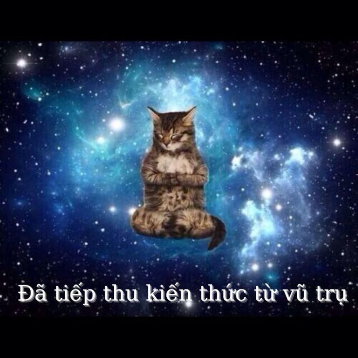 meme kiến thức n&agrave;y đ&atilde; được tiếp thu