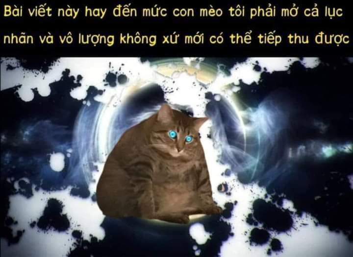 meme kiến thức n&agrave;y đ&atilde; được tiếp thu 0024