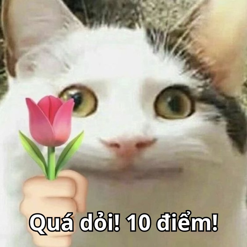 Thêm phần quyến rũ với meme tặng hoa – khám phá nét đẹp độc đáo!