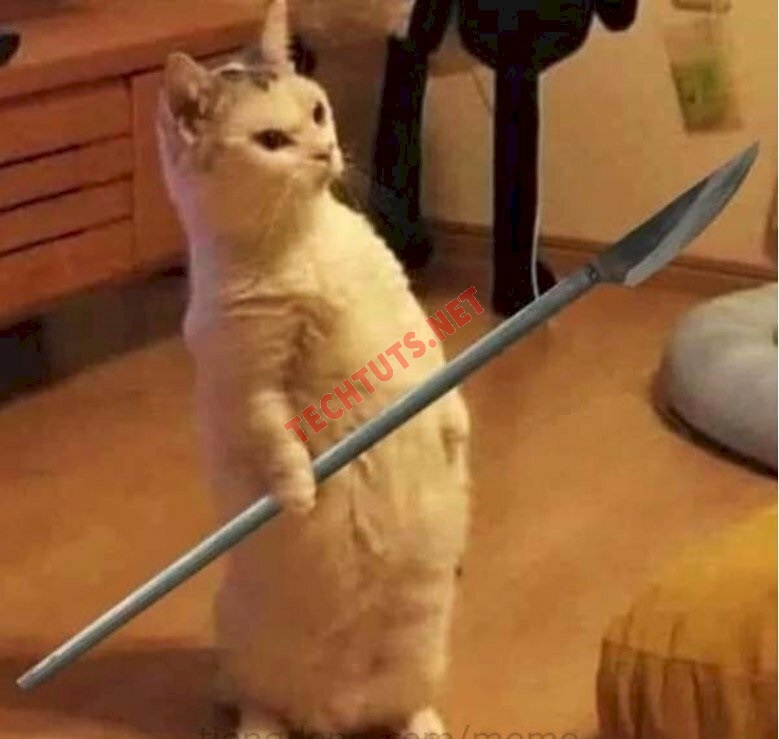 meme m&egrave;o cầm dao th&uacute; vị