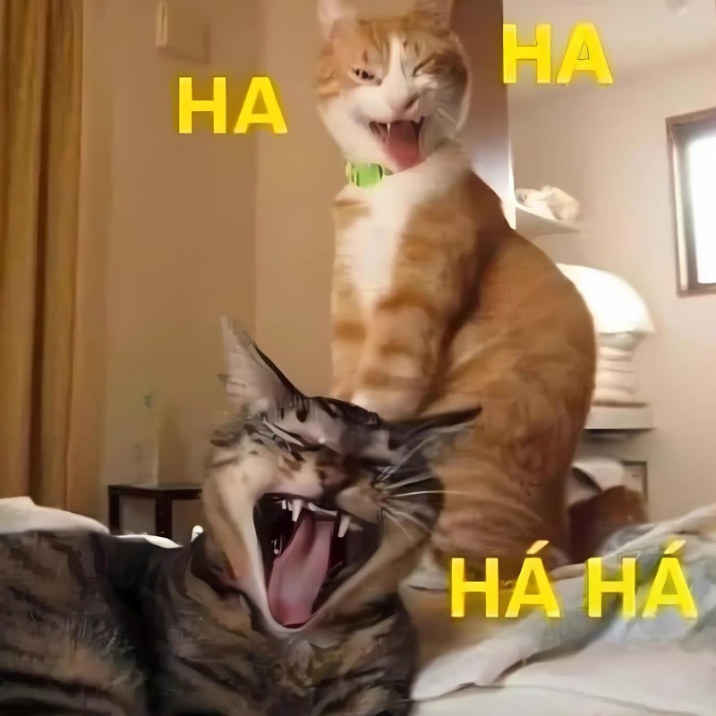 meme m&egrave;o cười h&agrave; mồm dễ thương