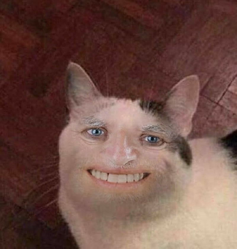 meme m&egrave;o cười trong đời sống