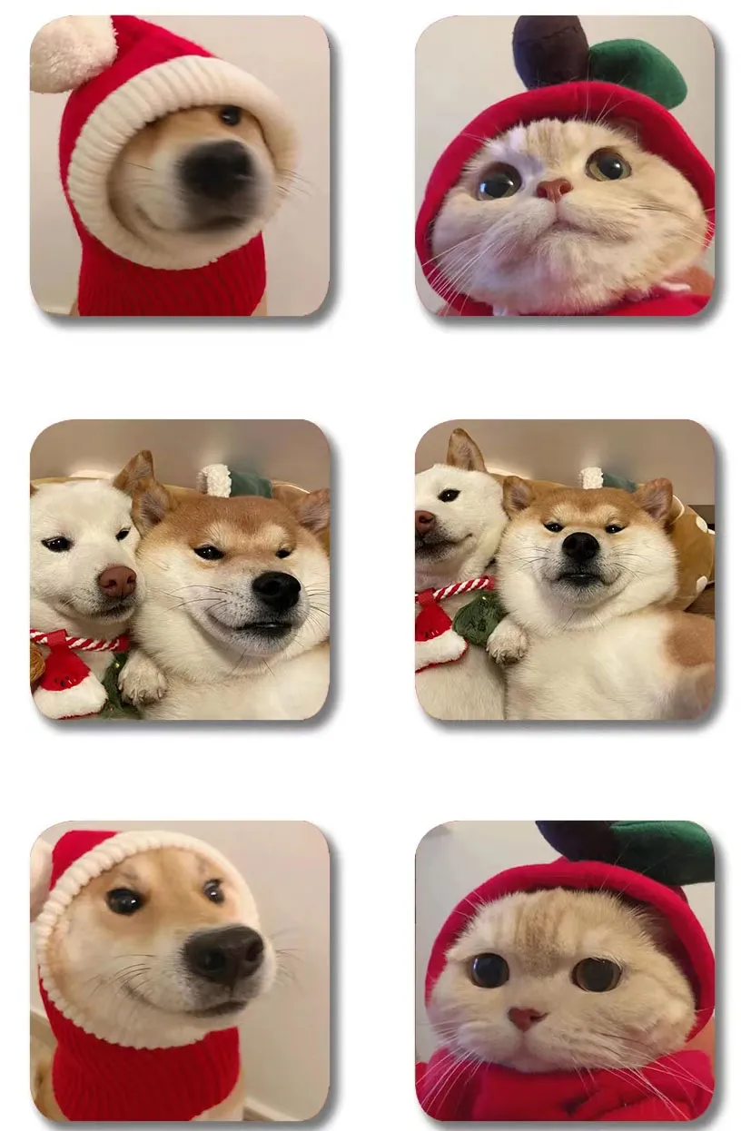 meme m&egrave;o gi&aacute;ng sinh 0039