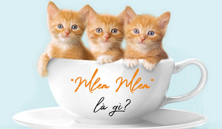 meme mlem tr&ecirc;n mạng x&atilde; hội