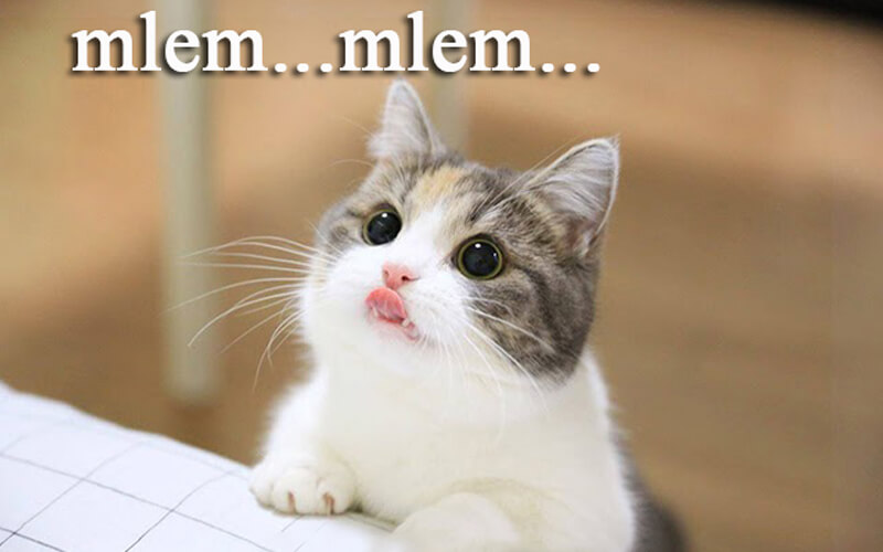 meme mlem