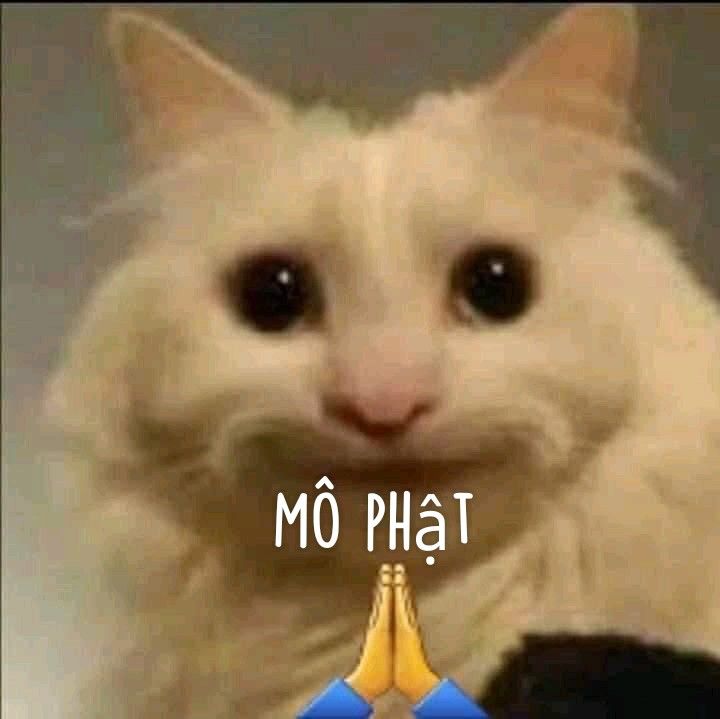 meme m&ocirc; phật