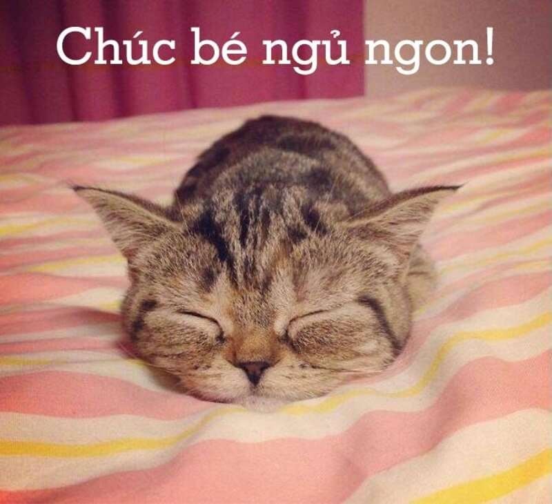 meme ngủ ngon s&aacute;ng tạo