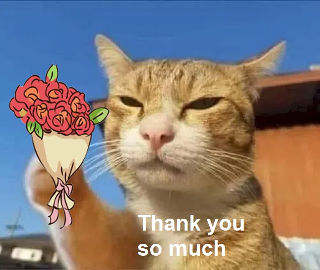 Tìm cảm giác với meme thank you – những biểu cảm hài hước và ý nghĩa