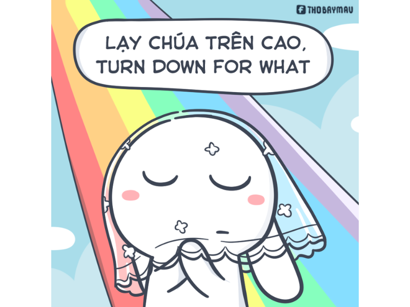 meme thỏ bảy m&agrave;u