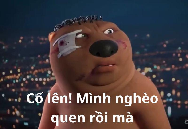 Meme cố lên – sắc màu tươi sáng, nạp năng lượng tích cực vượt qua thử thách
