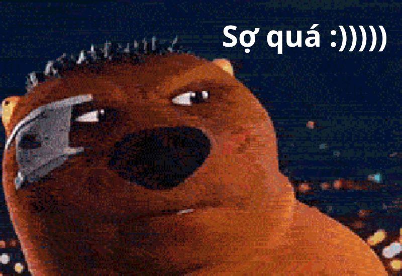 Màn hình sinh động hơn với 50++ meme sợ quá dành cho những cuộc trò chuyện thú vị