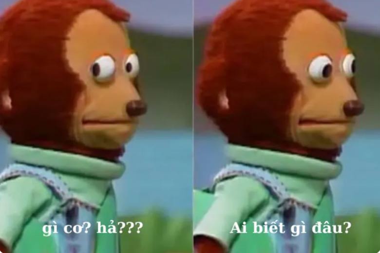 meme vui nhộn ai biết g&igrave; đ&acirc;u