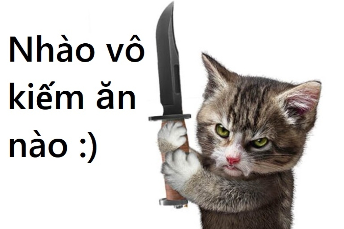 m&egrave;o cầm dao meme 0030