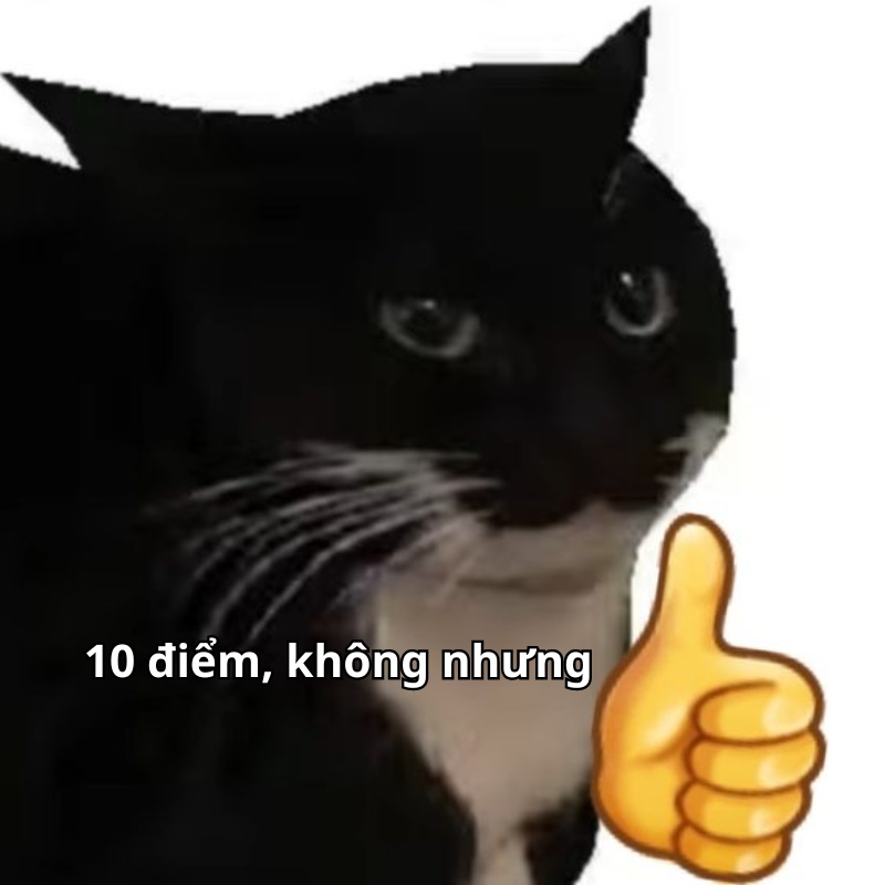 m&egrave;o đen meme 0028