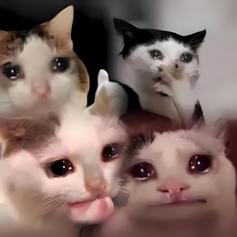 m&egrave;o meme cười 0040