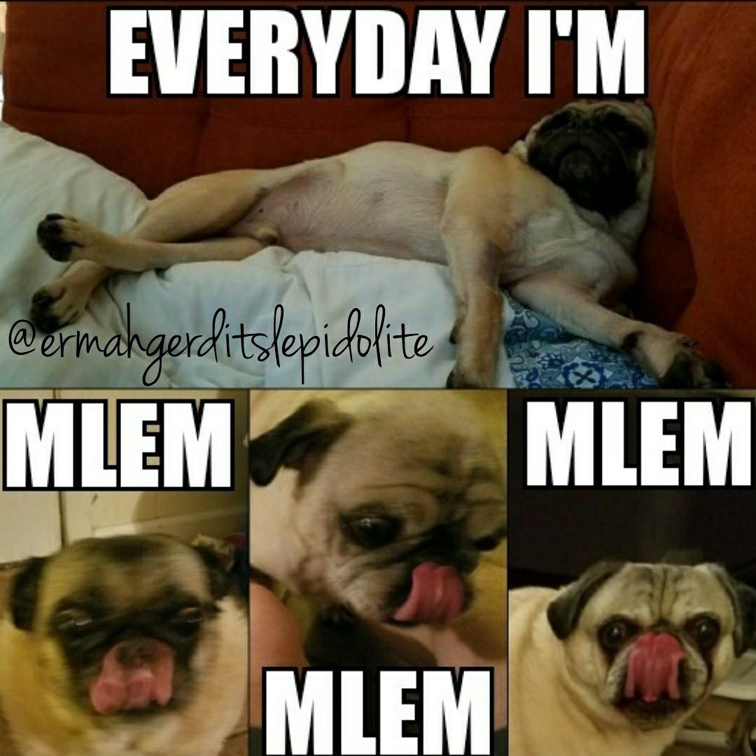 mlem meme 0044