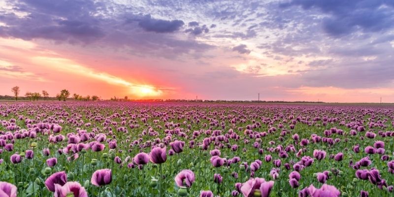 ngắm ảnh đẹp thiên nhiên