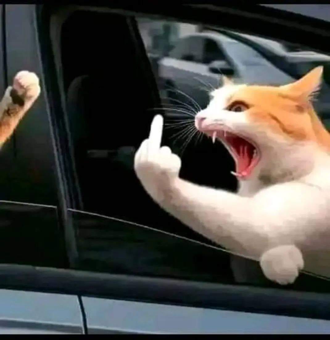 ng&oacute;n giữa meme