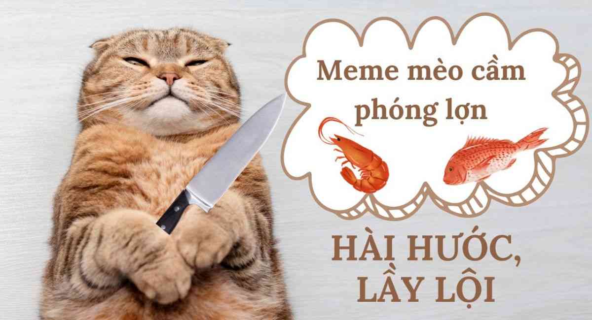 ph&oacute;ng lợn meme h&agrave;i hước nhất