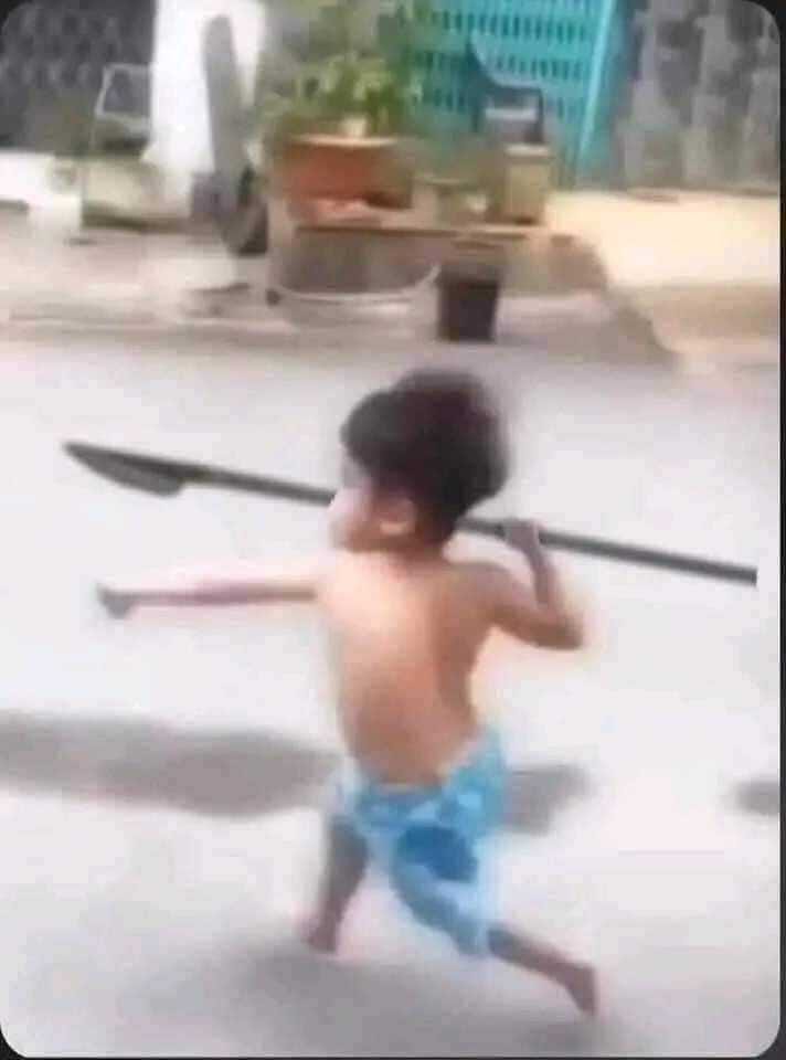 ph&oacute;ng lợn meme nổi bật