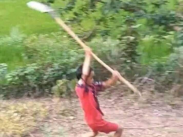 ph&oacute;ng lợn meme trong game