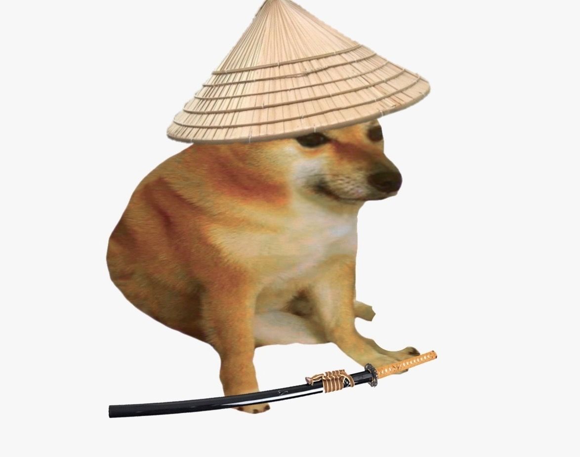 ph&oacute;ng lợn meme v&agrave; văn h&oacute;a mạng.