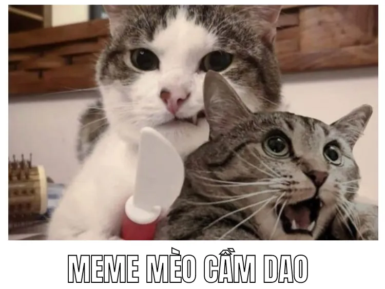 ph&oacute;ng lợn meme 0022