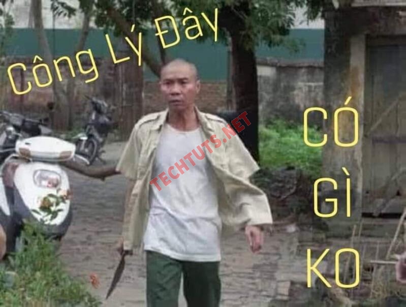 ph&oacute;ng lợn meme 0031