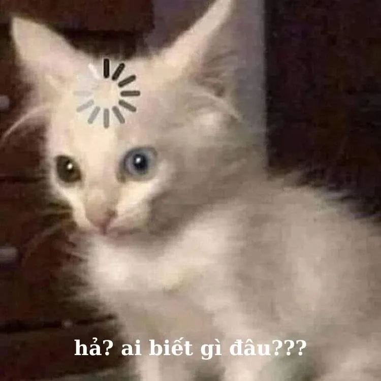 sử dụng meme ai biết g&igrave; đ&acirc;u