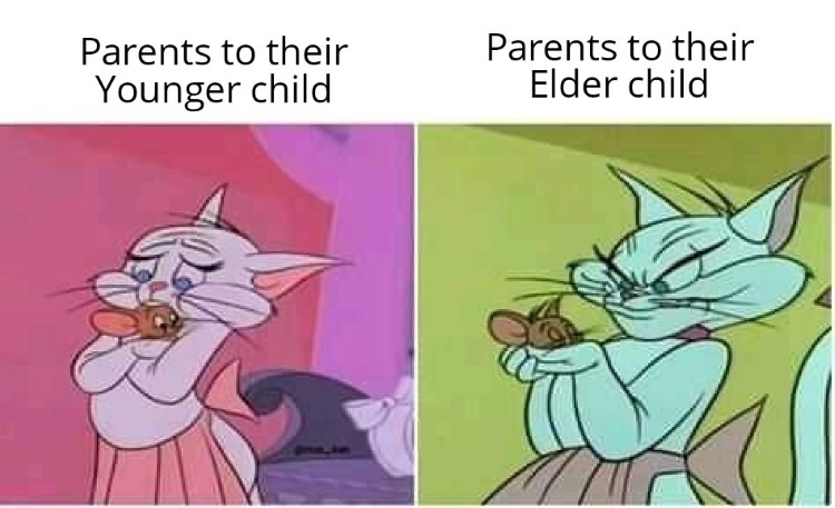 sự phổ biến của meme Tom v&agrave; Jerry