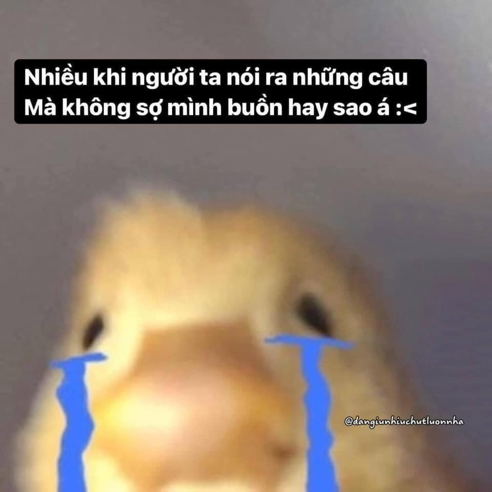 t&aacute;c động của meme trầm cảm