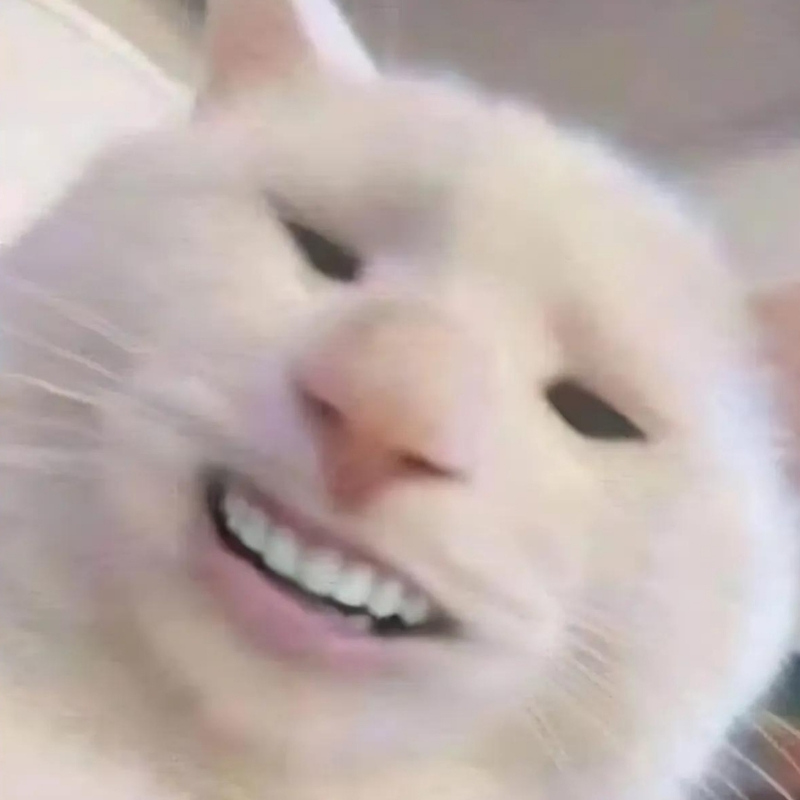 t&aacute;c động của m&egrave;o meme cười trong giới trẻ