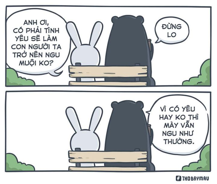 thỏ bảy m&agrave;u meme 0020