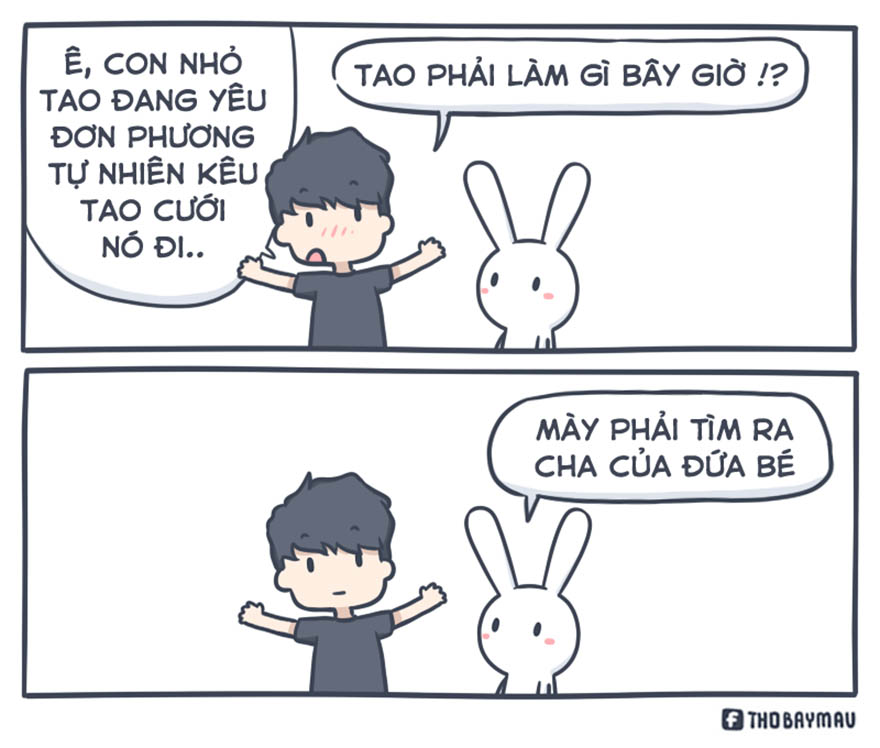 thỏ bảy m&agrave;u meme 0032