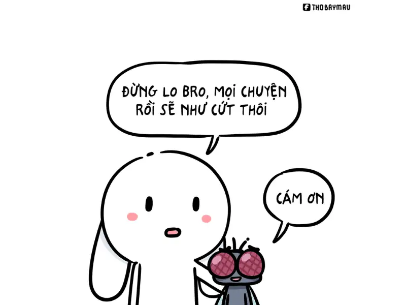 thỏ bảy m&agrave;u meme 0038