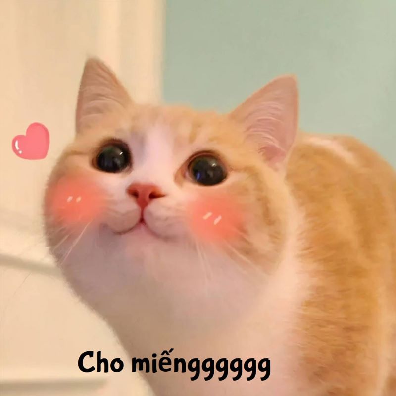 thương thương meme an ủi 0027